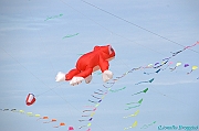 RIMINI 2012 - 235